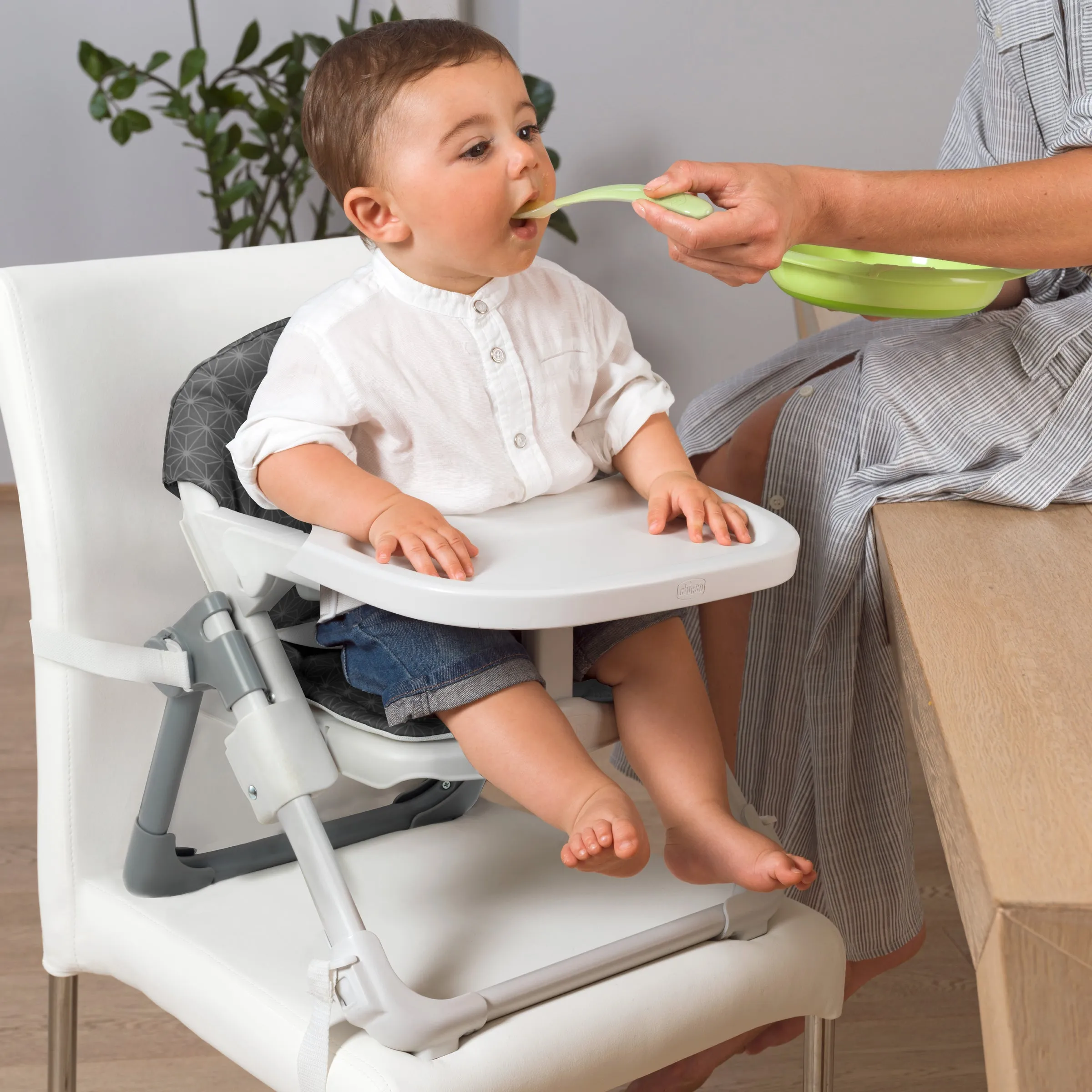 Chicco Take-A-Seat Booster Seat