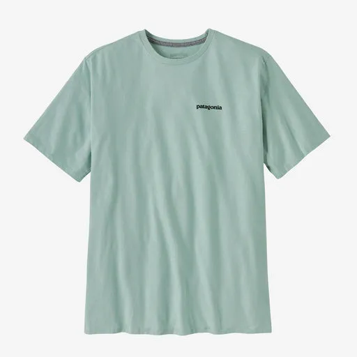 Patagonia Men's P-6 Logo Responsibili-Tee - Wispy Green