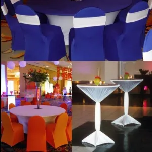 Spandex Chair Cover